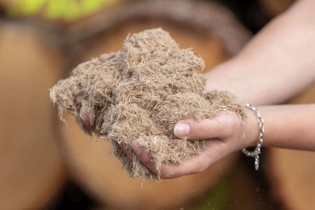 Ein Paar Hände hält einen Klumpen groben, faserigen Materials, wahrscheinlich Kokosnusskokos, mit einem verschwommenen Hintergrund aus braunen Objekten.