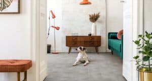 Ein Hund liegt auf dem Boden in einem Wohnzimmer, in dem ein Sideboard aus Holz, ein grünes Sofa und eine orangefarbene Stehlampe stehen.