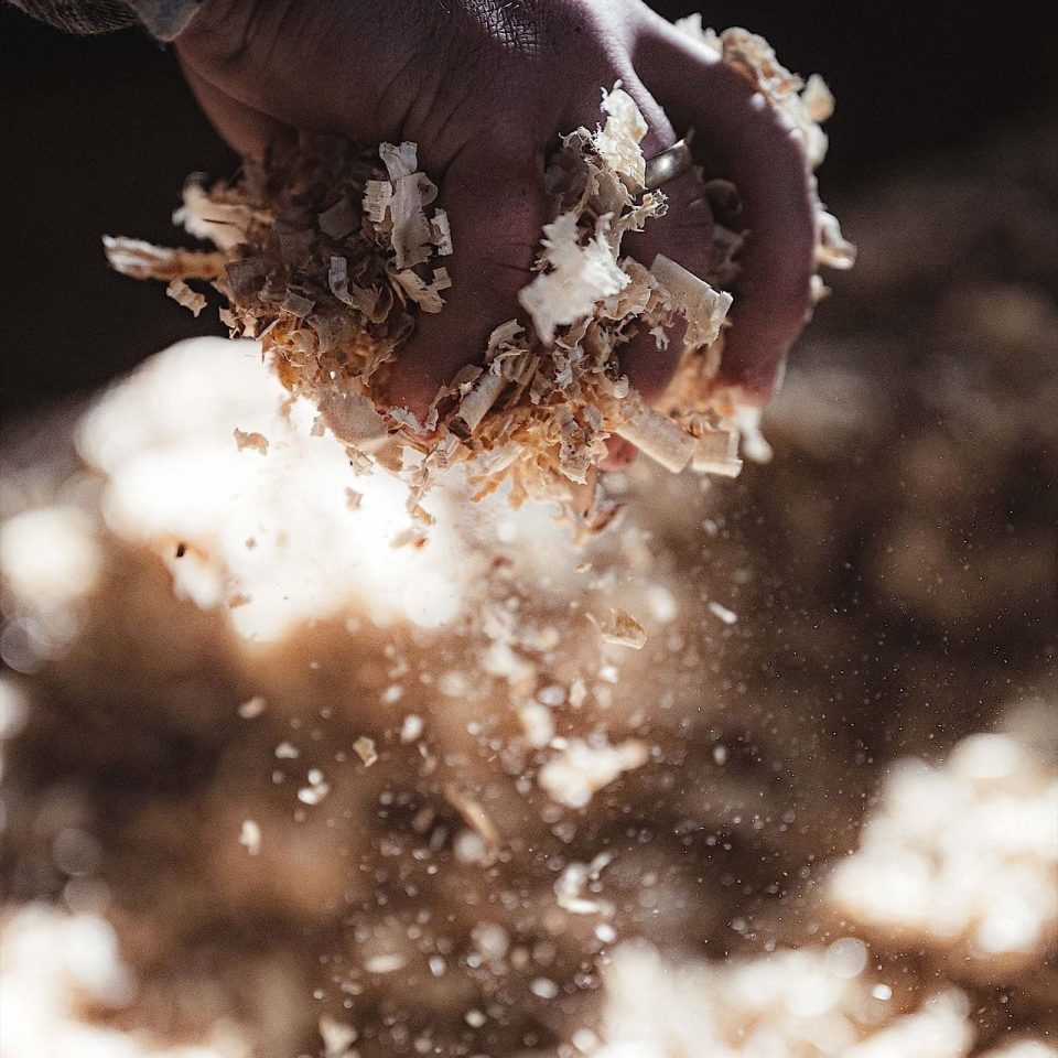 Eine Hand hält eine Handvoll Holzspäne und lässt sie wieder los, wobei Sägespäne fallen und sich im Licht ausbreiten.