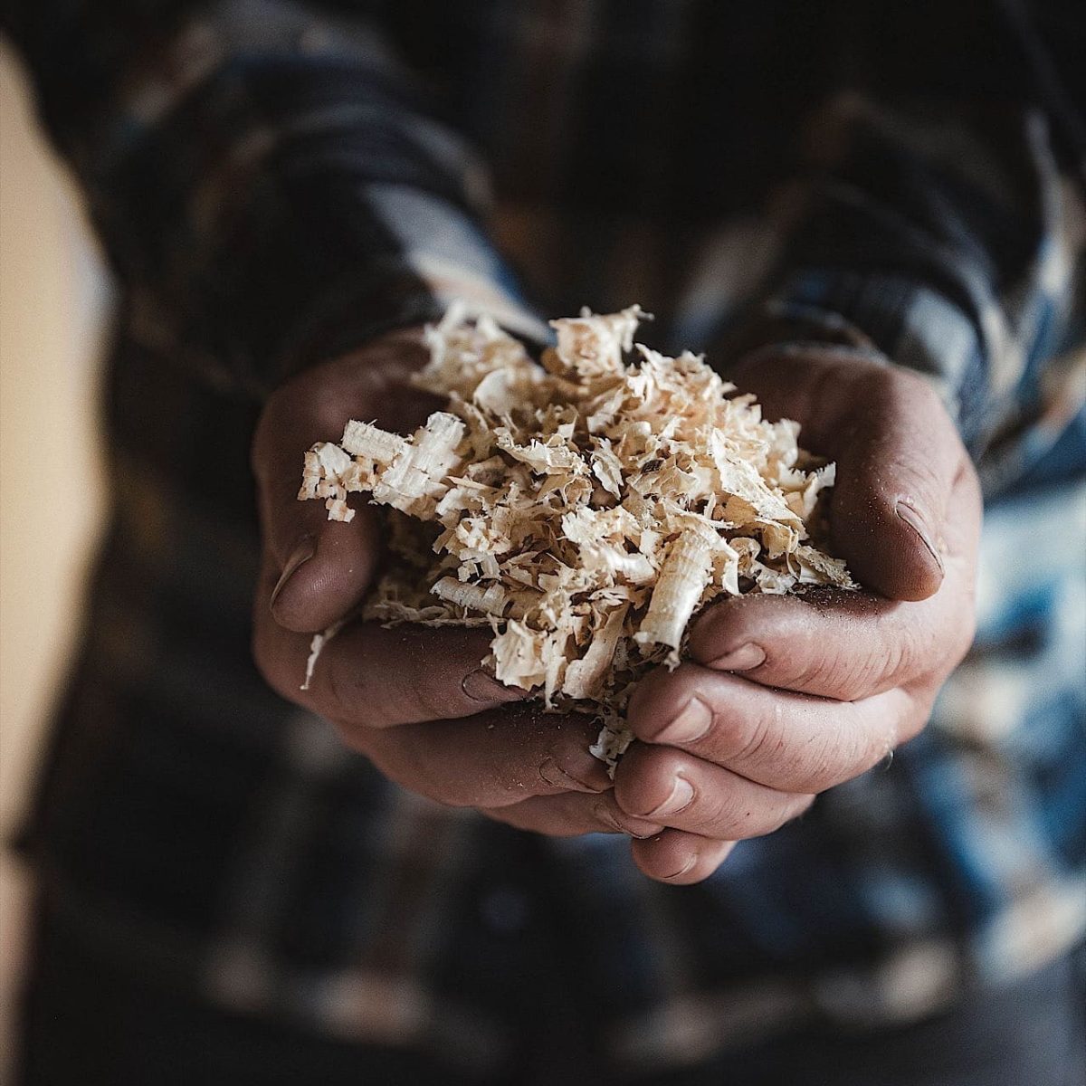Eine Person in einem karierten Hemd hält einen Haufen Holzspäne in den Händen.