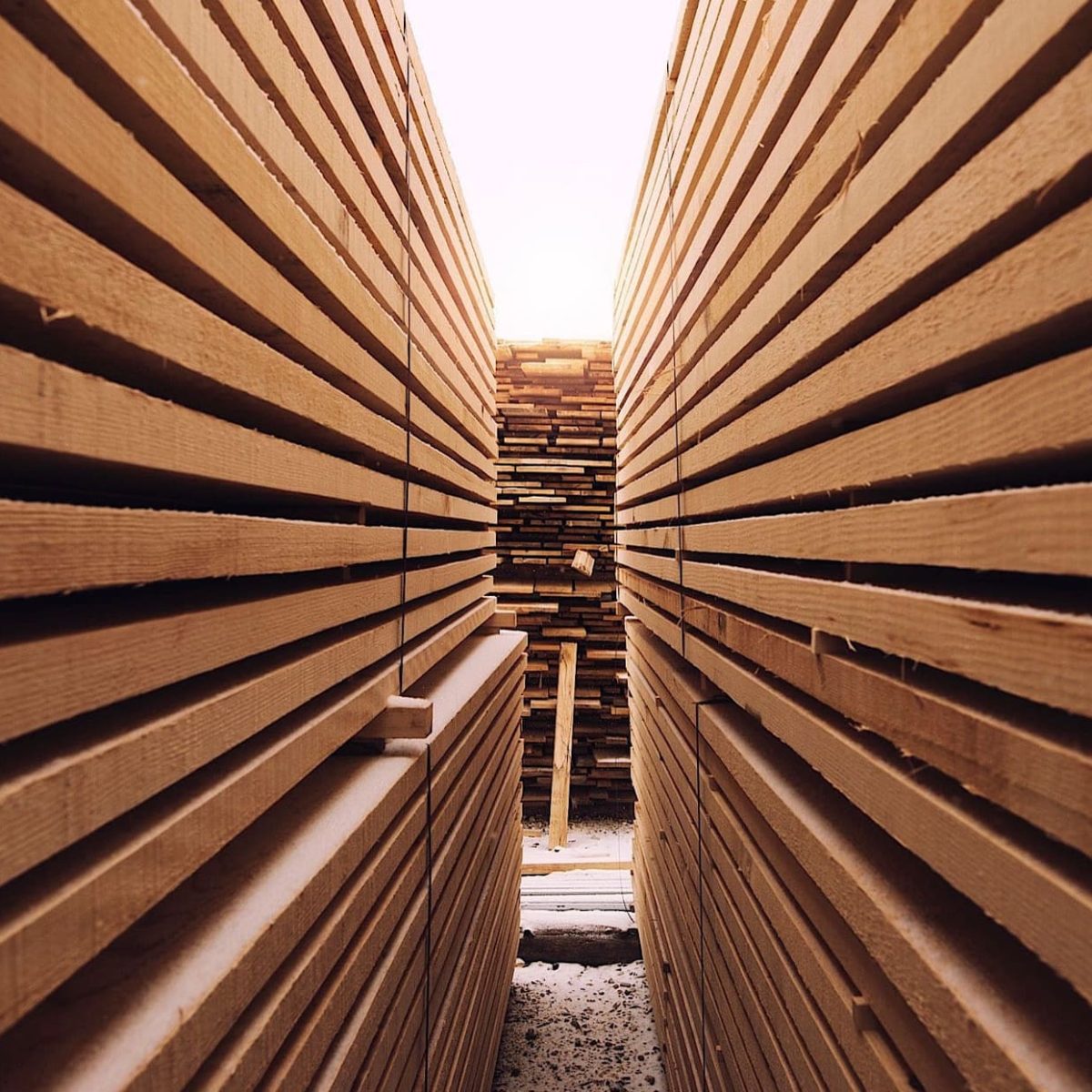 Stapel von Holzbrettern sind in parallelen Reihen angeordnet, mit Blick auf den Mittelgang, von einem niedrigen Winkel aus gesehen.